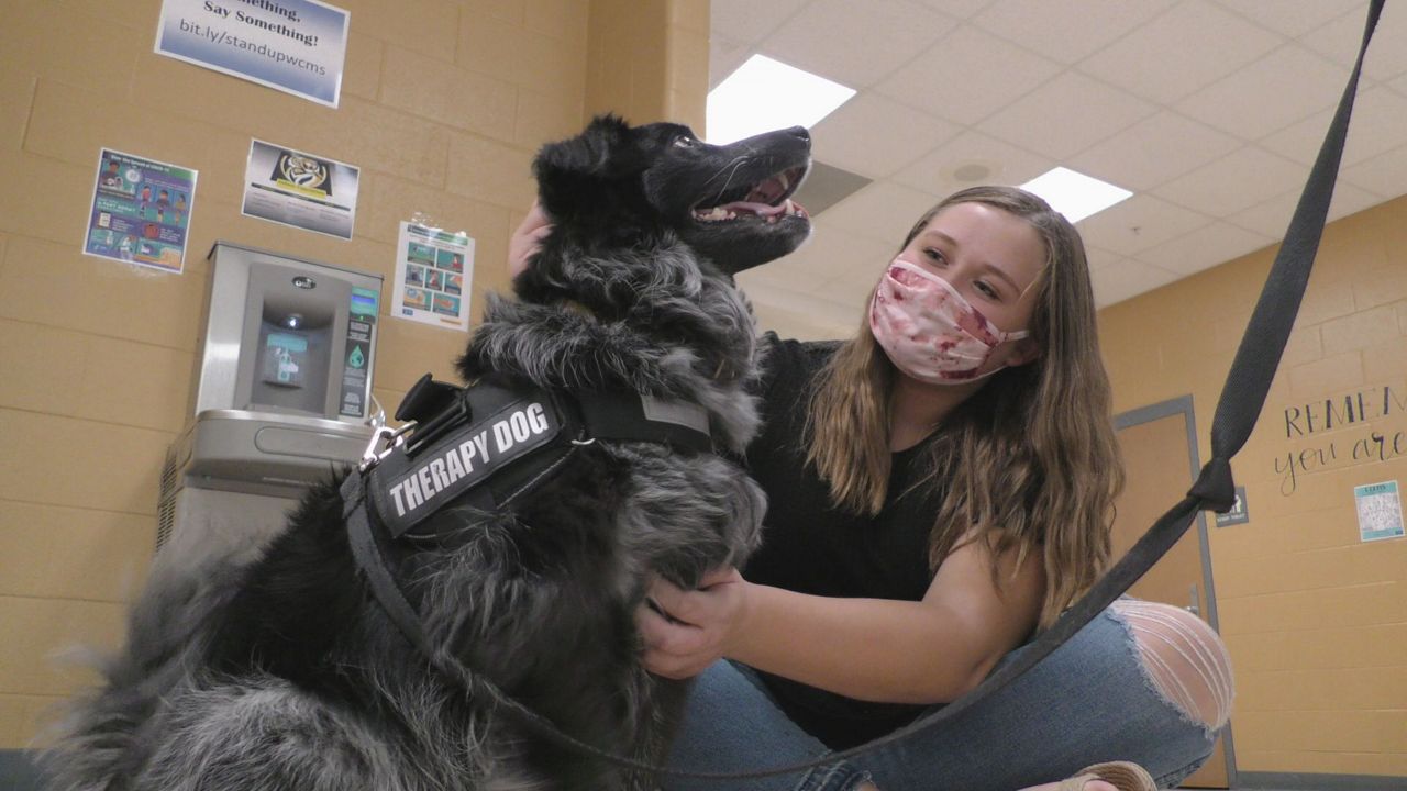 Our Therapy Dog – Counseling – Villa Madonna Academy Elementary School