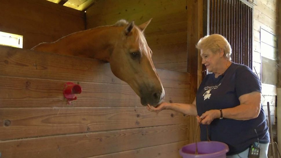 Pamela Rogan runs Harmony Farms, an equine therapy facility in Brevard County. "I never expected to still be doing this" after 26 years, she says.