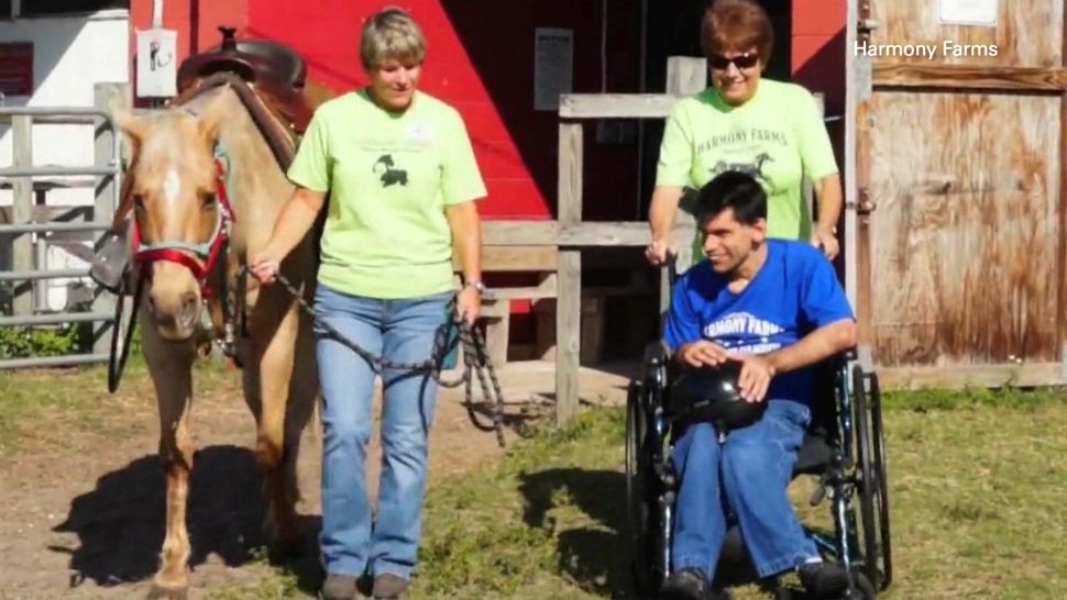 Harmony Farms in Cocoa, Fla., has provided equine therapy for thousands of special-needs children.