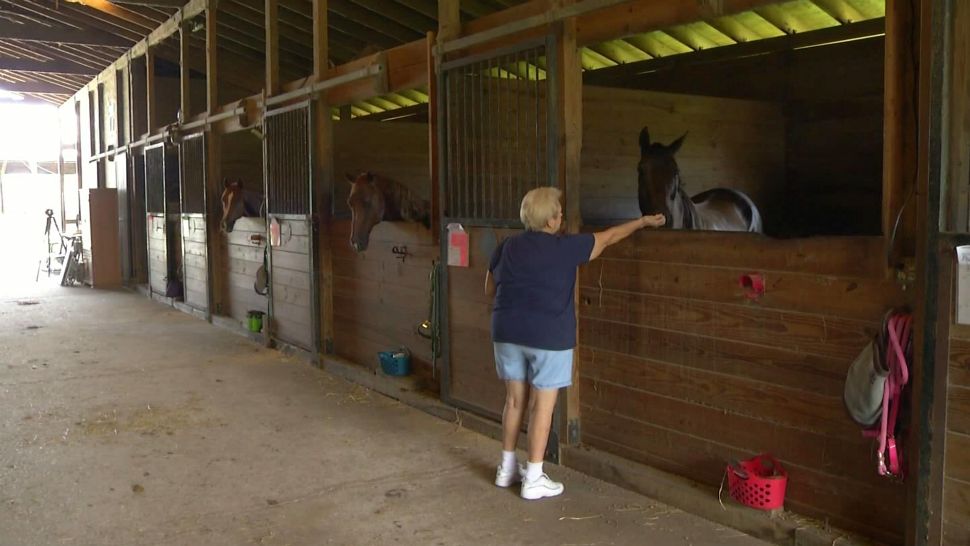 Pamela Rogan runs Harmony Farms, an equine therapy facility in Brevard County. "I never expected to still be doing this" after 26 years, she says.