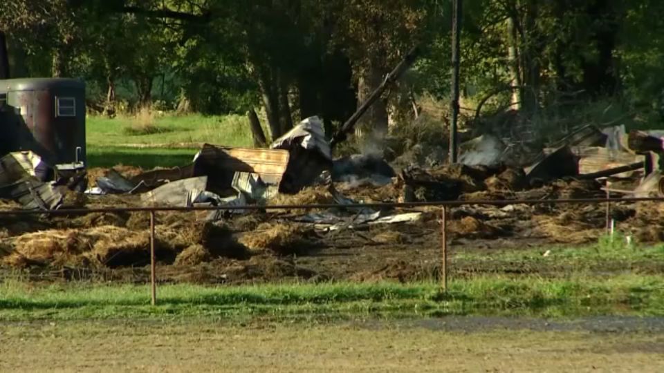 More Than A Dozen Animals Die In Barn Fire