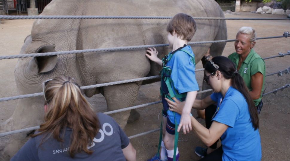Methodist Children's Hospital rehabilitation team helping a small boy with physical disabilities pet a rhino at San Antonio Zoo September 19, 2019 (Courtesy: San Antonio Zoo/Methodist Children Hospital)