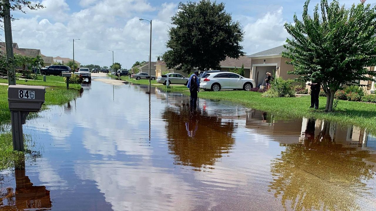 Flooding Invites Gators Into Winter Haven Neighborhood