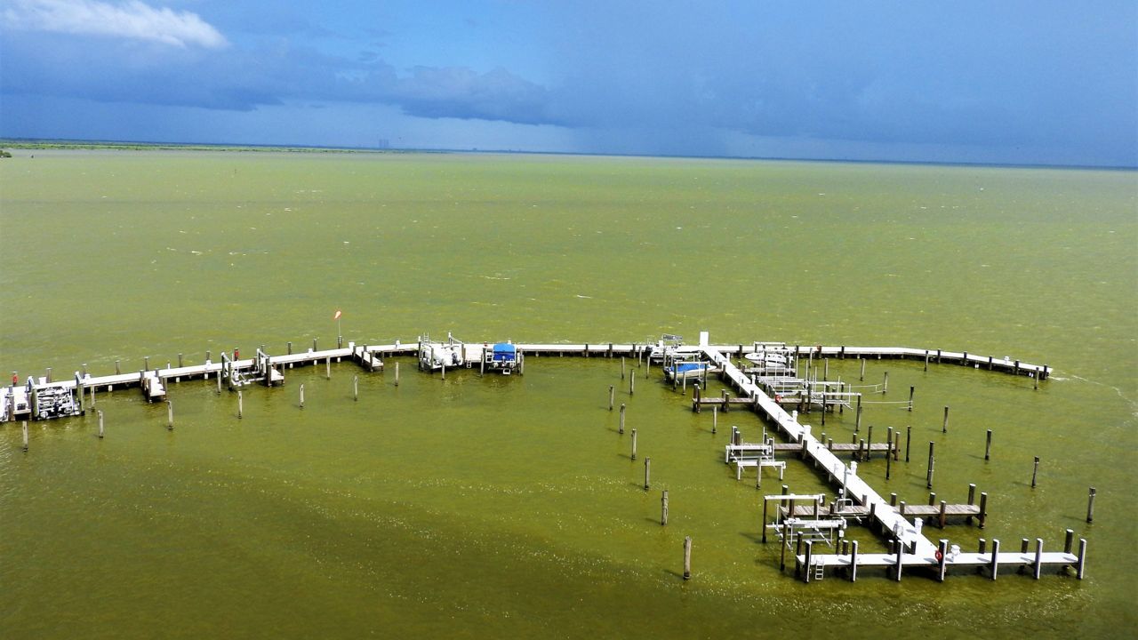 Weather Stirs Up Indian River Lagoon Creates Algae Bloom