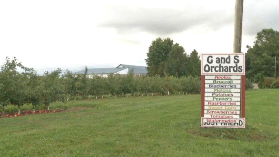 Ready for Fall? Harvest With G and S Orchards