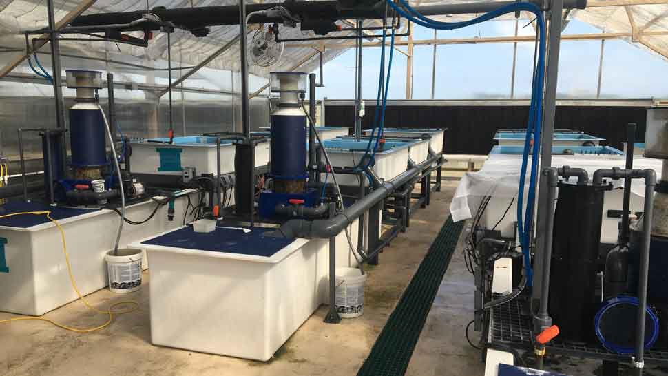 Construction Set to Begin on Florida Aquarium Expansion