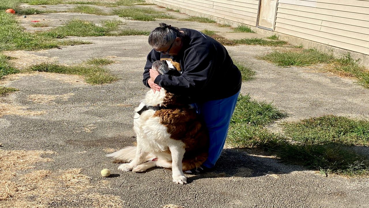 Woman hugging a dog