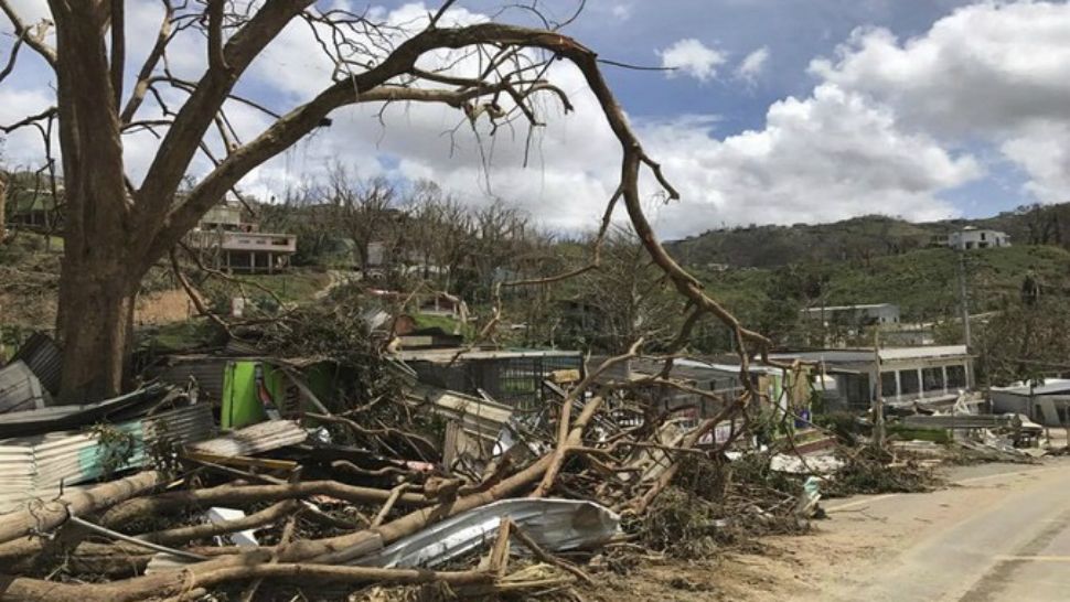 This undated photo provided by Hector Alejandro Santiago shows his farm in Barranquitas, Puerto Rico, destroyed by September 2017’s Hurricane Maria. (Héctor Alejandro Santiago via AP)