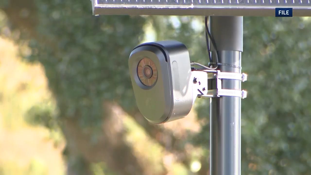 Pinellas Co. deputies accused of misusing databases to pursue romantic interests