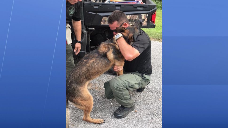 After being missing for approximately 9 hours, Manatee Co. K-9 Boss was located and reunited with his partner Wednesday evening. (Photo courtesy Manatee Co. Sheriff's Office)