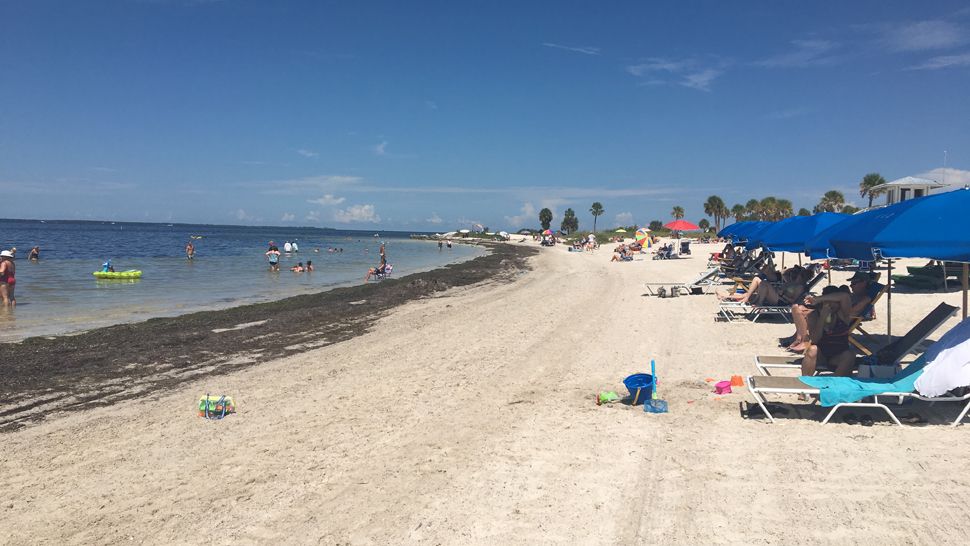 Beachgoers converge on red tidefree Fred Howard Park