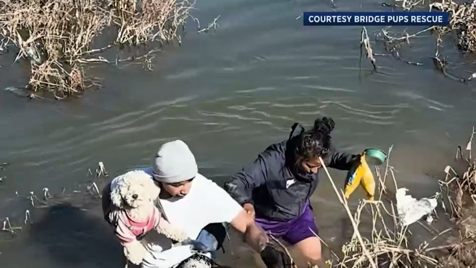 Texas woman devoted to caring for migrants' pets