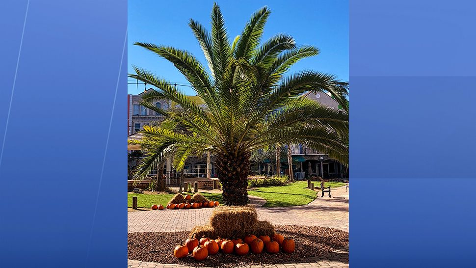Sent via Spectrum News 13 app: A gorgeous morning at the European Village in Palm Coast on Saturday, October 13, 2018. (Joyce Connolly, Viewer)