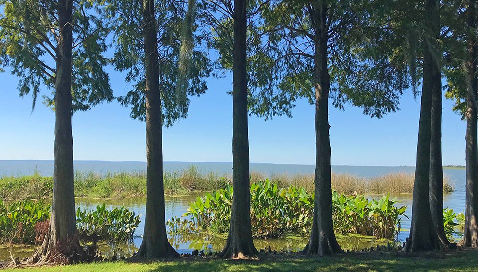 It was a very peaceful day at a lake in Apopka on Friday, October 19, 2018. (Anthony Leone, staff)