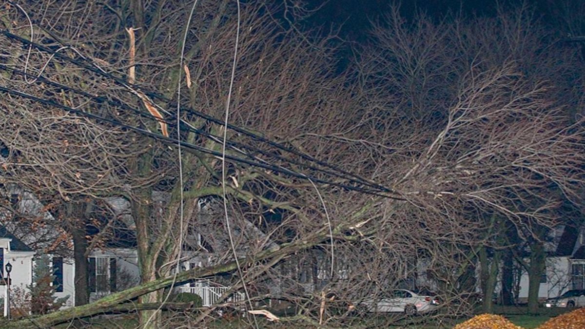 Sent to us with the Spectrum News 13 app: A tree came down, along with some power lines, in the Cypress Lakes area on Saturday, October 19, 2019. (Photo courtesy of Jayne Starr, viewer)