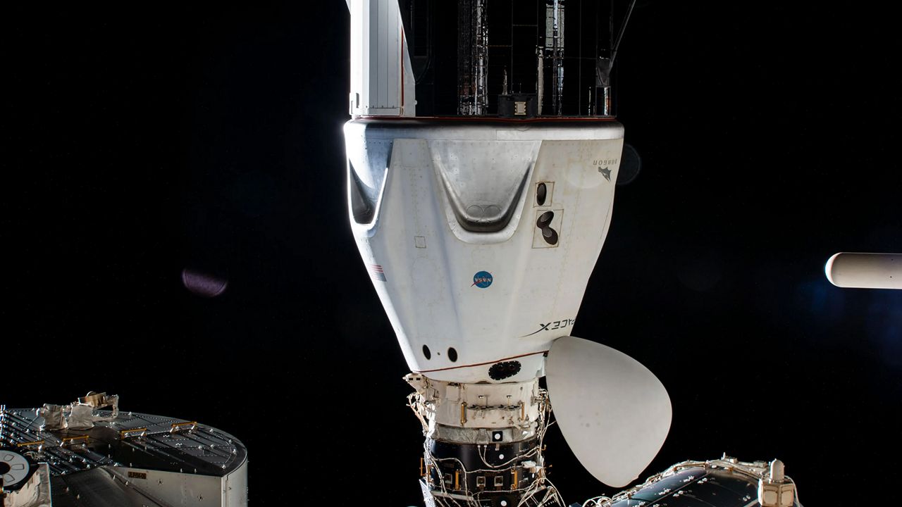 Crew-8 members NASA astronauts Cmdr. Matthew Dominick, pilot Michael Barratt, and mission specialists Jeanette Epps and Roscosmos cosmonaut Alexander Grebenkin are expected to be inside SpaceX's Dragon space capsule and undock from the International Space Station on Wednesday, Oct. 23, 2024. (NASA)