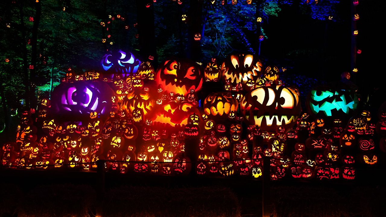 Tickets for the Jack O'Lantern Spectacular go on sale Friday