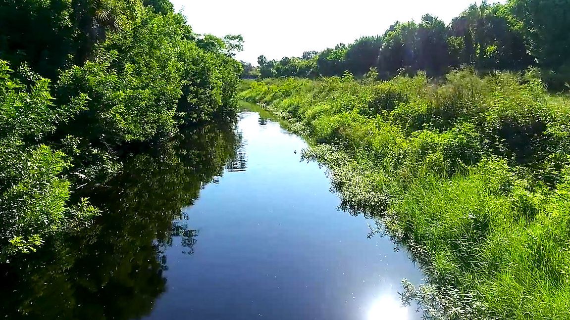 Sarasota County invests $25M into restoring Alligator Creek