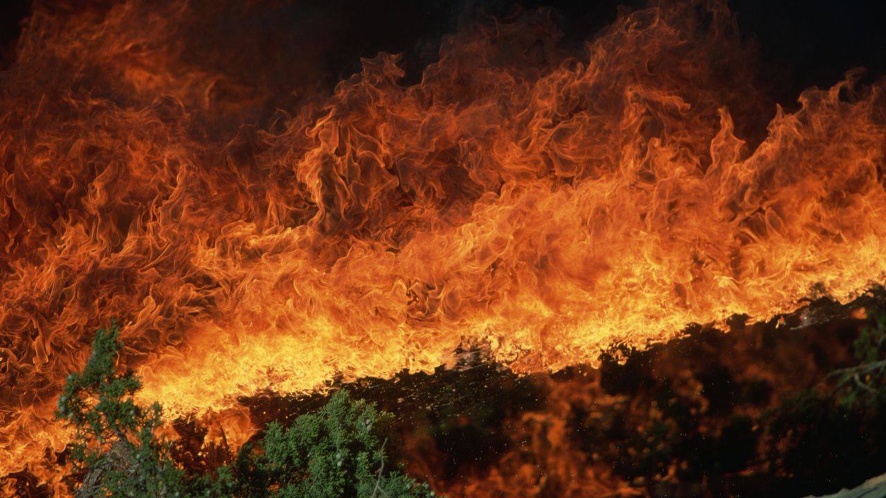 Brea firefighters battling brush fire that’s burned 21 acres