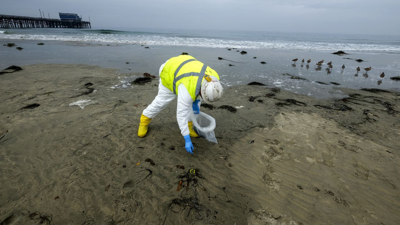 A worker in protective suit cleans the contaminated beach after an oil spill in Newport Beach, Calif., on Thursday, Oct. 7, 2021. (AP Photo/Ringo H.W. Chiu)