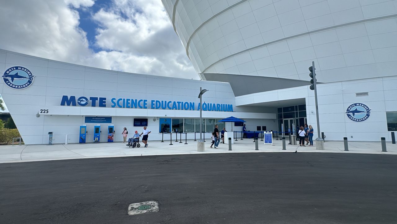 Mote Marine Laboratory and Aquarium to open Wednesday