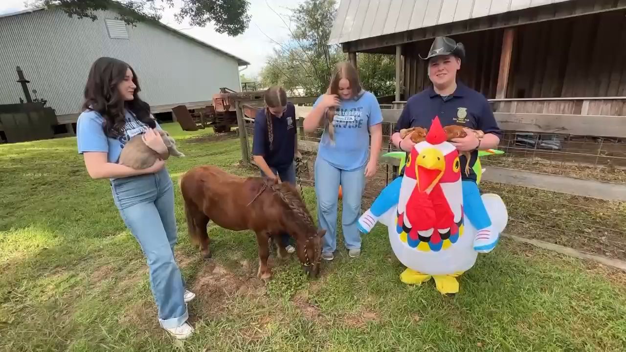 Pumpkins, pony rides, petting zoo at Scarecrow Festival
