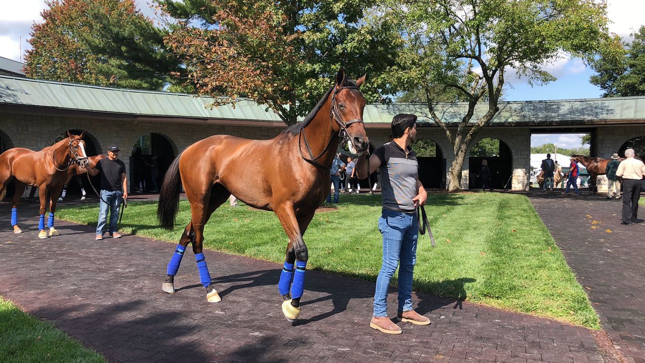 A man guides a horse at Keeneland