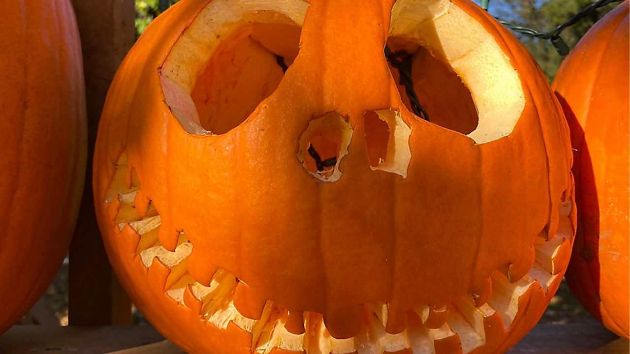 Countdown to Halloween Pt 2