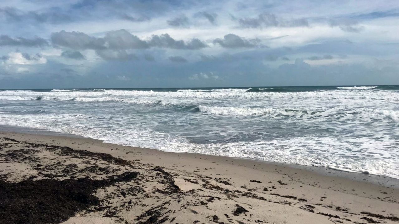 Leslie has meandered in the mid-Atlantic since late September, and despite its distance from land, is sending mounds of seaweed onto Space Coast beaches. (Greg Pallone/Spectrum News 13)