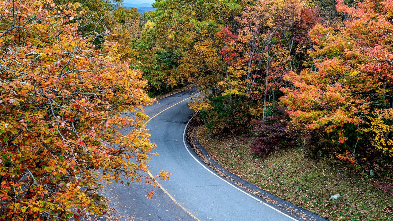 Grandfather Mountain's main road, as pictured from atop the park's Sphinx Rock boulder by Skip Sickler of the Grandfather Mountain Foundation.