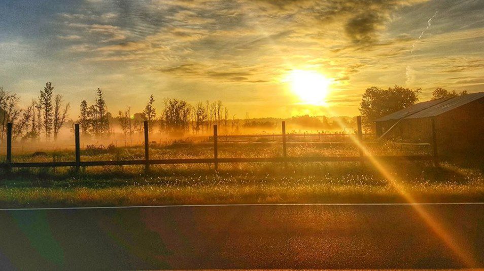 Central New York Weather Forecast