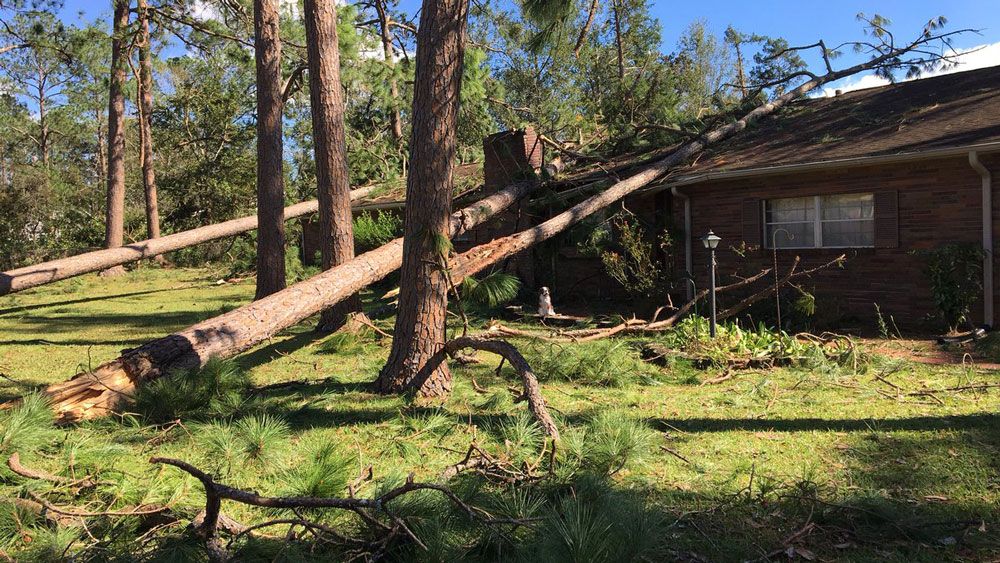 Hurricane Damage in Vernon.