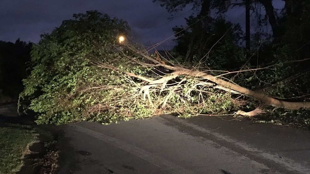 Hurricane Damage in Bay County.