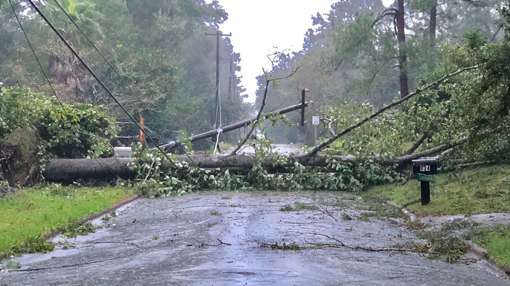 Hurricane Damage in Tallahassee.