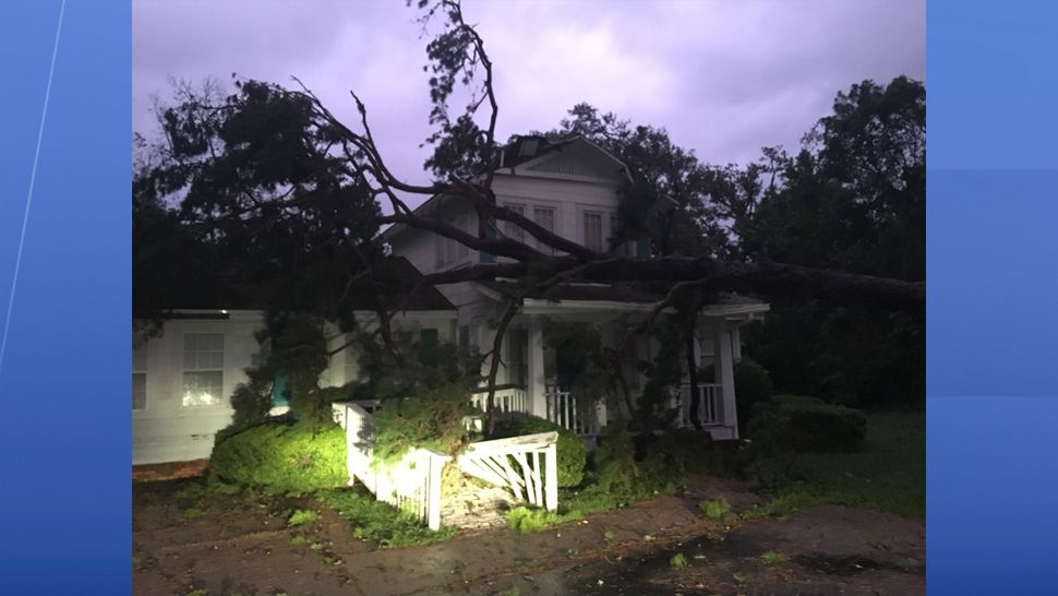 Hurricane damage in Tallahassee