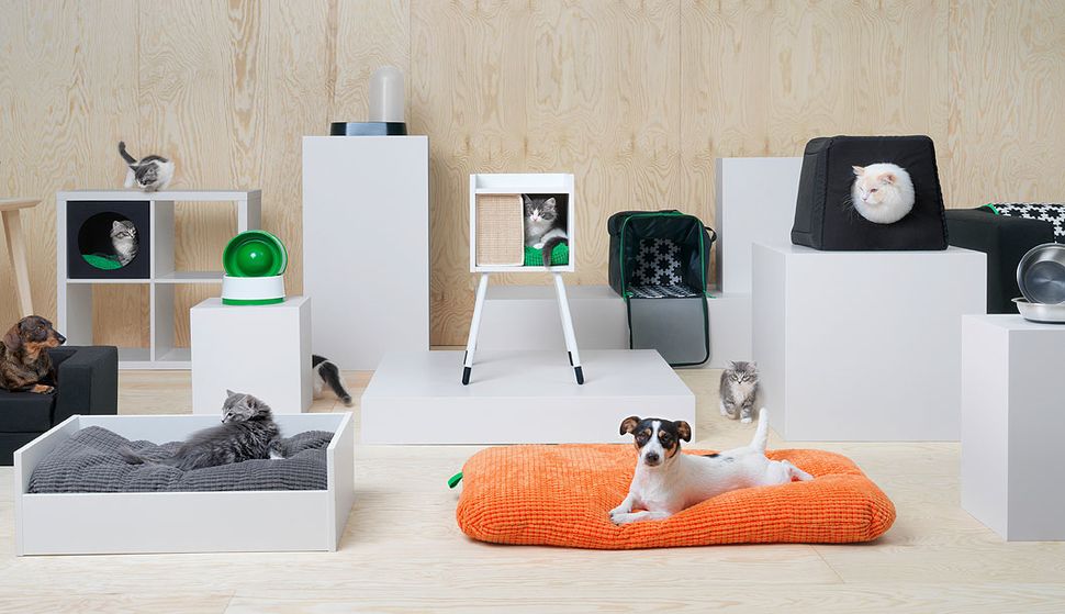 IKEA now sells furniture for your pets. PHOTO: IKEA.com 
