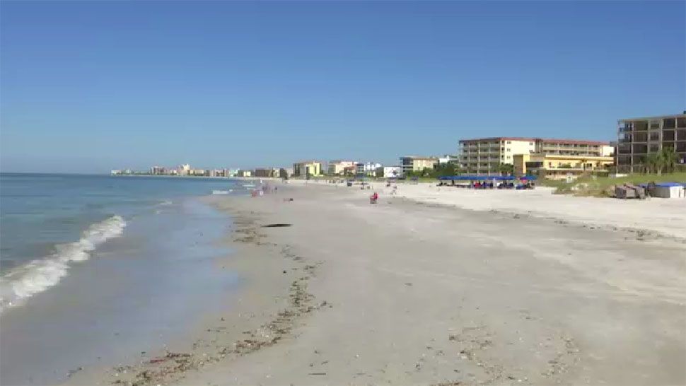 Many Pinellas County beaches had dead fish and unfavorable air quality this weekend. (Jorja Roman/Spectrum Bay News 9)