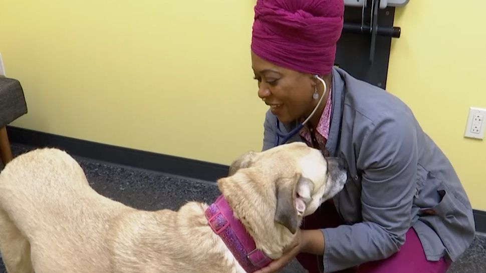 Woman Opens First Black-Owned Veterinary Clinic in Cleveland