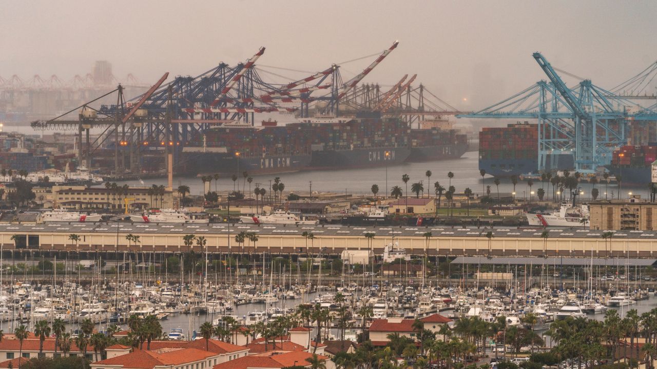 Container cargo ships docked in the Port of Los Angeles. (AP Photo/Damian Dovarganes, File)