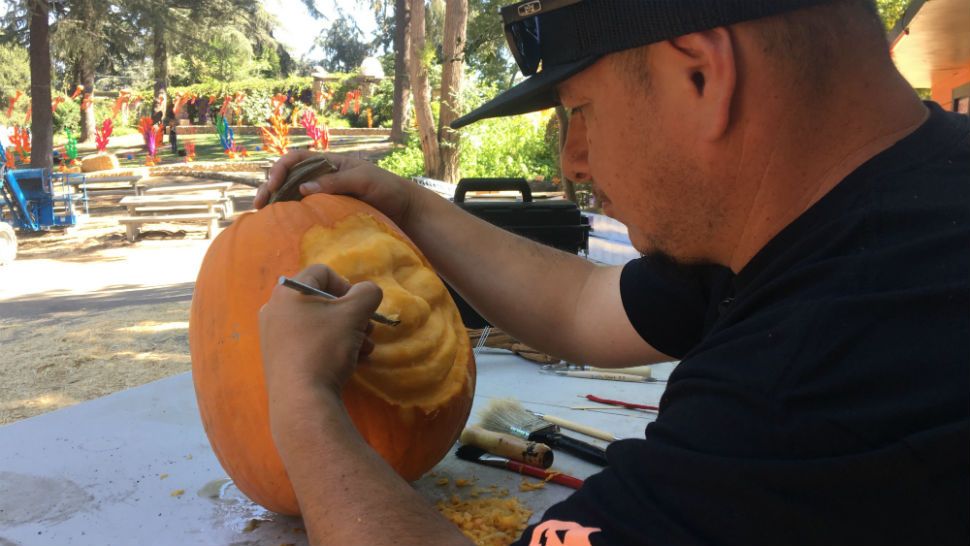 Features an interactive Halloween experience through seven Pumpkin Lands created with more than 3,000 artistically hand-carved real and synthetic pumpkins. 