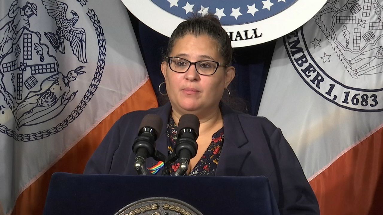 Diana Ayala on what inspired her to run for council speaker