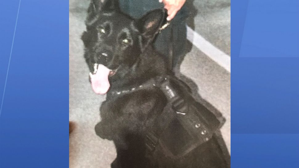 Jury Selection Begins In Sebastian Police K-9 Death Trial