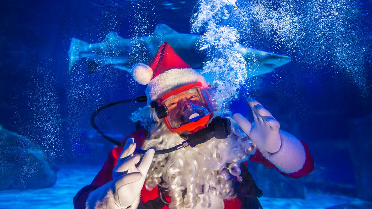 Scuba Santa at the Newport Aquarium swims with the sharks