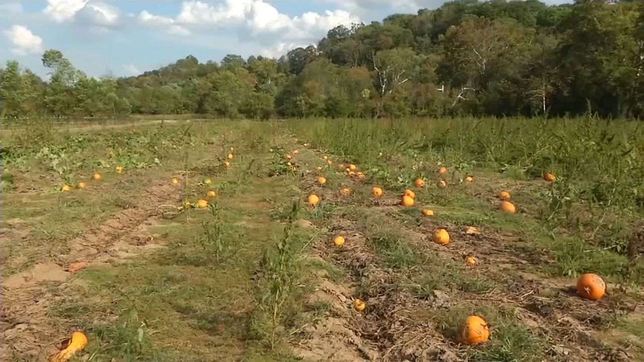 Drought prompts USDA disaster designation for nine Kentucky counties