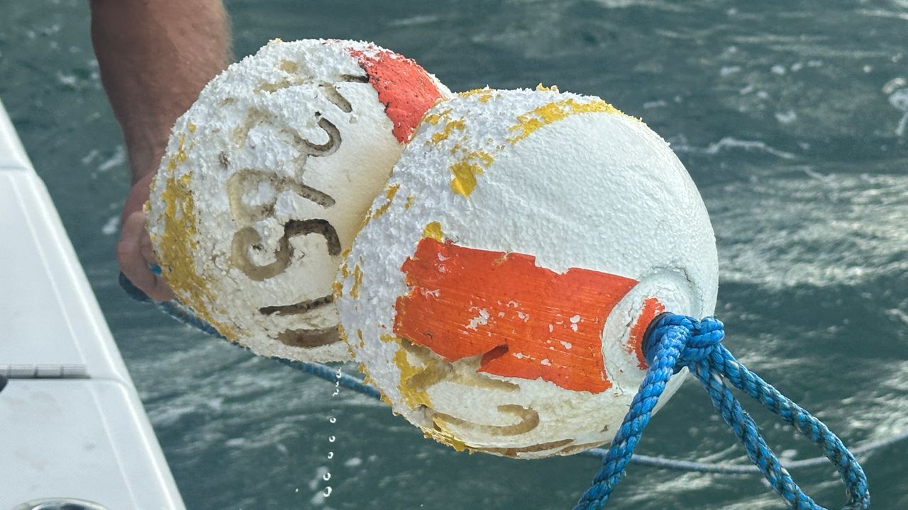 Pinellas County fishermen are sounding the alarm just days into this year's stone crab season. (Spectrum News/Sarah Blazonis)