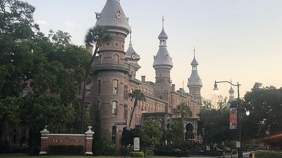 university of tampa transfer