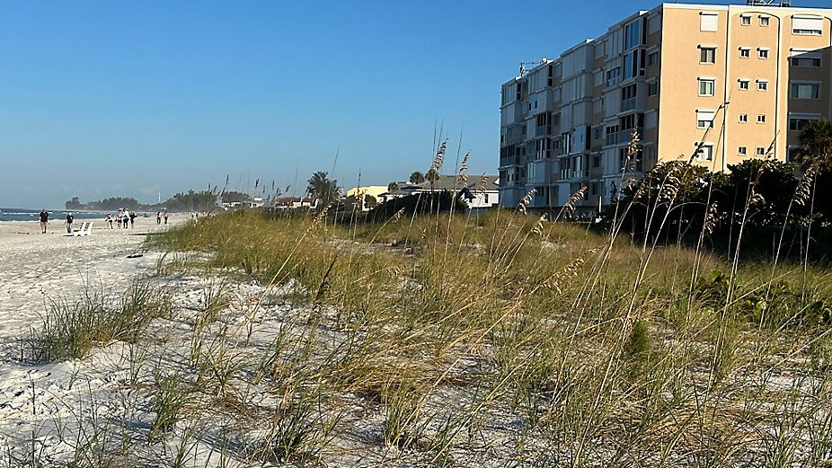 Volunteers help restore Holmes Beach after Idalia damage
