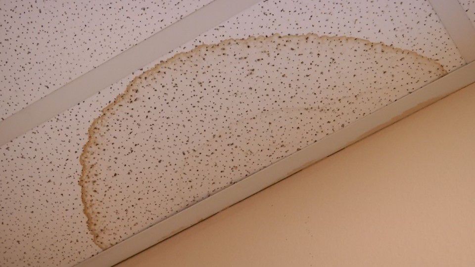 Leesburg Spends 100 000 On Mold Problem In Fire Stations