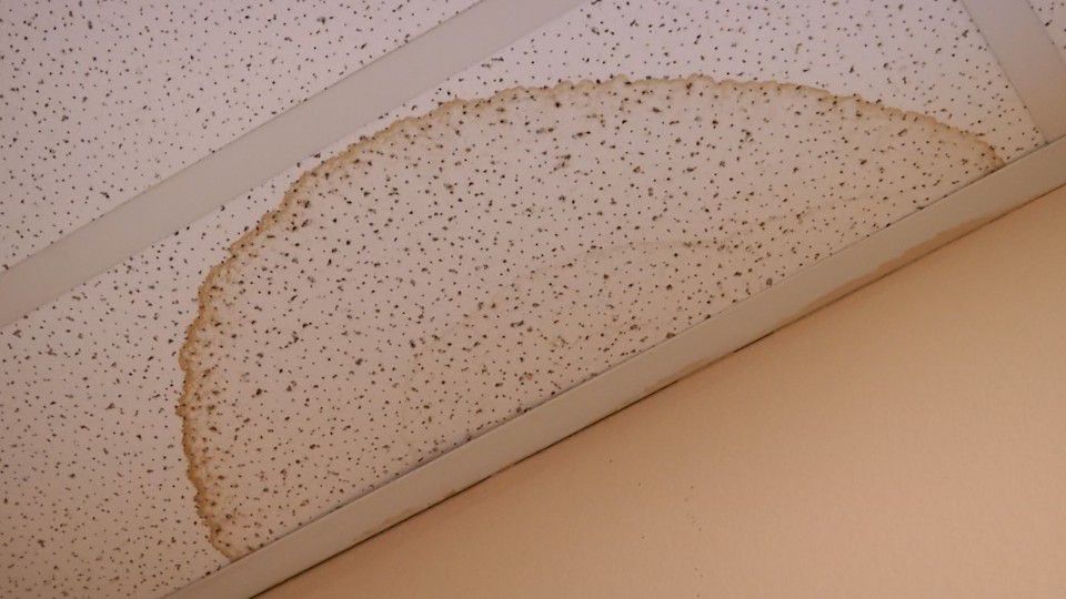 Mold on ceiling