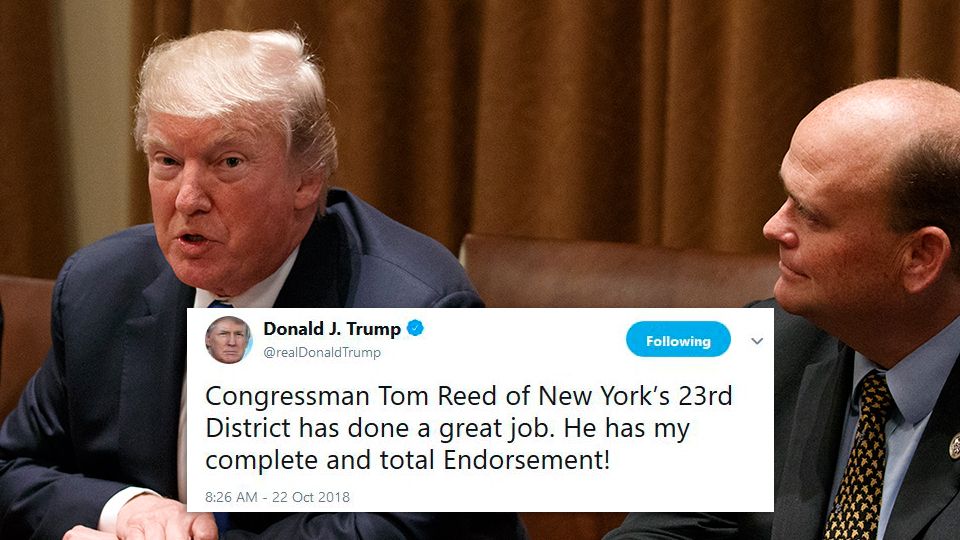 President Trump endorsed Tom Reed on Twitter.